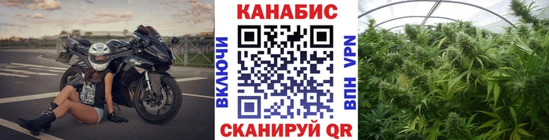 Где продают наркотики Иркутск Галлюциногенные грибы  КОКАИН  blacksprut вход  МЕФ  ГАШИШ  Конопля  Alpha-PVP 