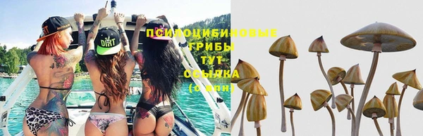скорость mdpv Нефтегорск