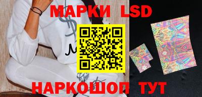 Альфа ПВП Владикавказ