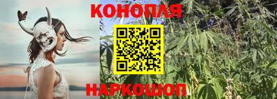 Альфа ПВП Владикавказ