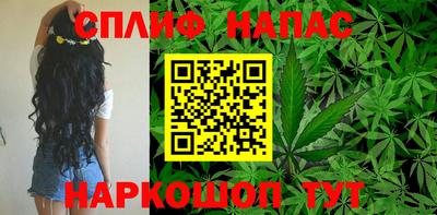 Альфа ПВП Владикавказ