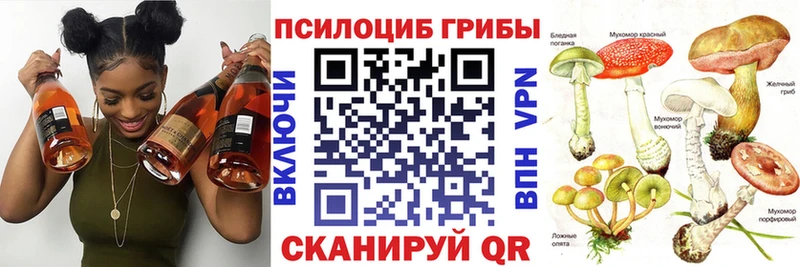 ссылка на мегу ТОР  Иркутск  Псилоцибиновые грибы мухоморы  где продают  