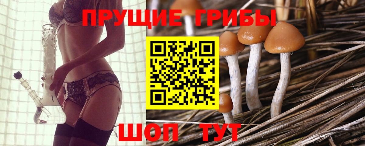 Псилоцибиновые грибы мухоморы  купить   Иркутск  Вход с VPN 