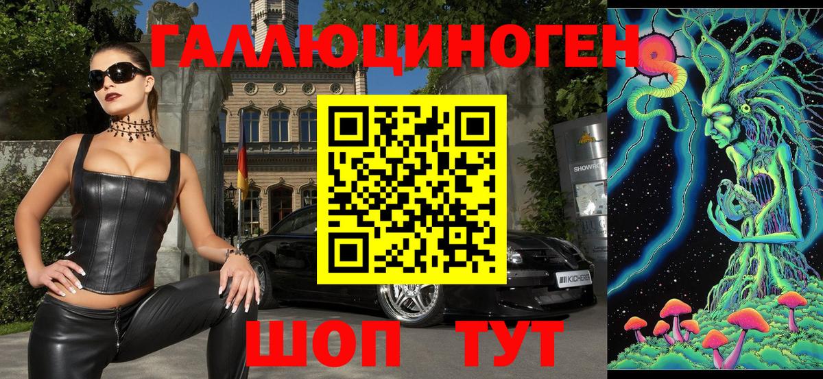 Галлюциногенные грибы Psilocybine cubensis Иркутск